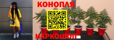 каннабис Будённовск